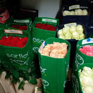 Lee más sobre el artículo Tu Tienda Online de Flores y Plantas